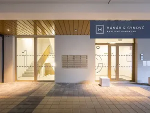 Pronájem garáže, Brno, Cejl, 15 m2