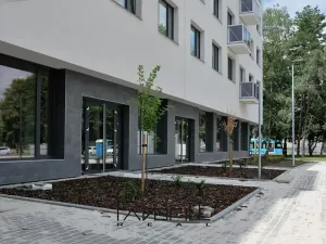 Pronájem bytu 4+kk, Ostrava, Pavlovova, 100 m2