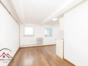 Pronájem bytu 1+1, Ostrava, Mariánskohorská, 31 m2