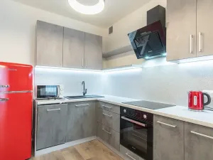 Pronájem bytu 2+kk, Praha - Karlín, Nekvasilova, 67 m2