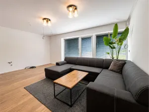 Prodej bytu 4+kk, Boršov nad Vltavou, 80 m2
