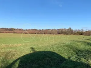 Prodej pozemku pro bydlení, Heřmanův Městec, Havlíčkova, 5663 m2