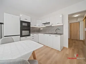 Pronájem bytu 1+1, Hradec Králové - Nový Hradec Králové, Fričova, 38 m2