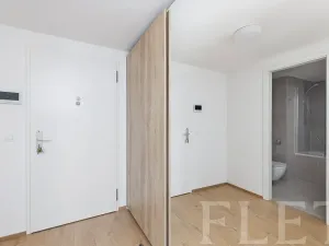 Pronájem bytu 1+kk, Praha - Chodov, Nebřenická, 37 m2