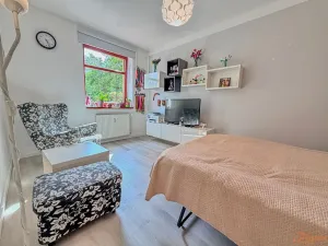 Prodej bytu 2+kk, Kralupy nad Vltavou, Přemyslova, 50 m2