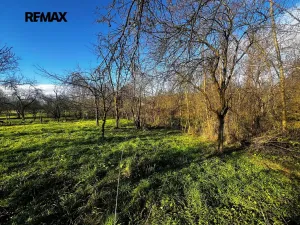 Prodej pozemku pro bydlení, Podolí, 1608 m2