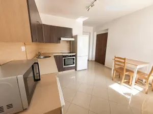 Pronájem bytu 2+1, Brno, Dělnická, 55 m2