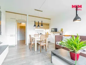Prodej bytu 1+kk, Havířov - Šumbark, Letní, 30 m2