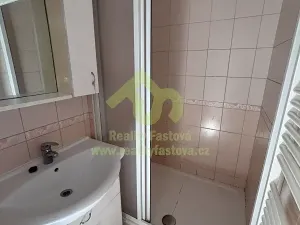 Pronájem bytu 1+1, Plzeň, Kyjevská, 45 m2