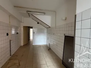 Pronájem výrobních prostor, Kutná Hora, Dolní, 262 m2