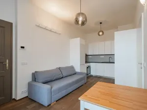 Pronájem bytu 1+1, Praha - Žižkov, Řehořova, 32 m2