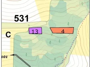 Prodej lesa, Čáslavsko, 6207 m2