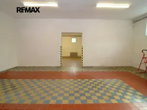 Pronájem obchodního prostoru, Brněnec, 238 m2