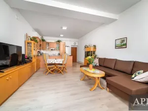 Prodej rodinného domu, Veselí nad Moravou, Zarazická, 266 m2