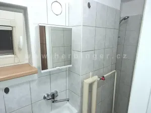 Pronájem bytu 1+kk, Ostrava - Poruba, Čs. exilu, 18 m2