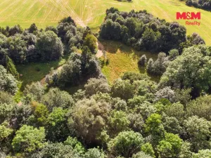 Prodej pozemku pro bydlení, Dvorce - Rejchartice, 2894 m2