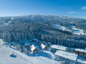 Prodej bytu 1+kk, Loučná pod Klínovcem, 35 m2