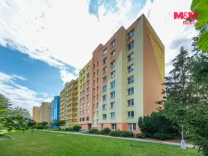 Prodej bytu 2+1, České Budějovice - České Budějovice 2, Krčínova, 72 m2
