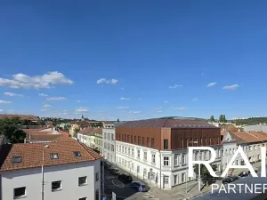 Prodej bytu 1+kk, Brno, Vranovská, 29 m2
