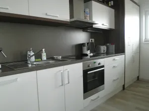 Pronájem bytu 3+kk, Plzeň, U Velkého rybníka, 104 m2