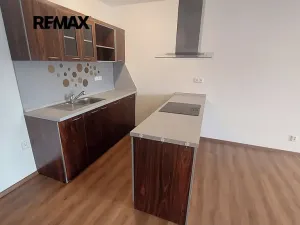 Pronájem bytu 1+kk, Slavkov u Brna, 53 m2