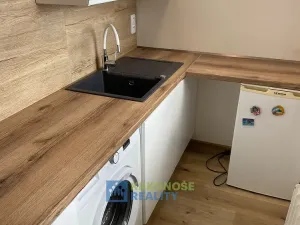 Pronájem bytu 1+kk, Praha - Podolí, Kaplická, 25 m2