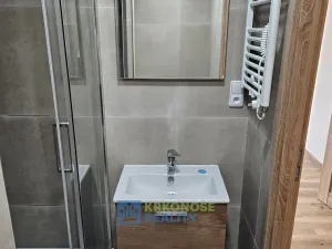 Pronájem bytu 1+kk, Praha - Podolí, Kaplická, 25 m2