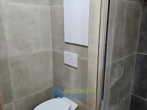 Pronájem bytu 1+kk, Praha - Podolí, Kaplická, 25 m2
