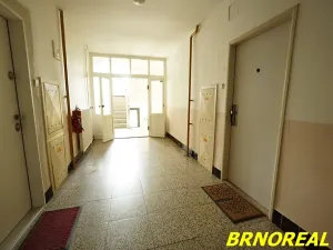 Pronájem bytu 1+1, Brno, Sibiřská, 31 m2