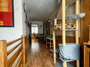 Prodej rodinného domu, Ostravice, 320 m2