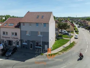 Prodej rodinného domu, Brno, Břeclavská, 417 m2