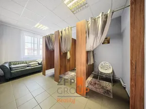 Prodej obchodního prostoru, Brno, Břeclavská, 417 m2