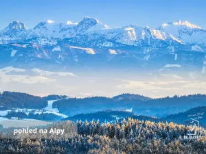 Prodej pozemku, Přední Výtoň, Svatý Tomáš, 2479 m2