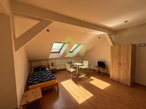 Prodej vícegeneračního domu, Plzeň, 776 m2