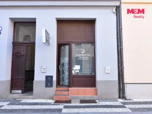 Pronájem obchodního prostoru, Mladá Boleslav - Mladá Boleslav II, Lukášova, 44 m2