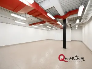 Pronájem skladu, Praha - Modřany, Obchodní náměstí, 140 m2