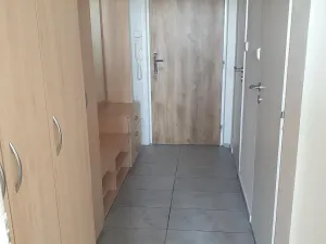 Pronájem bytu 2+kk, Brno, Svážná, 47 m2