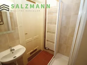 Pronájem bytu 2+1, Plzeň, Sladkovského, 68 m2