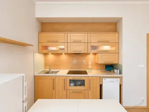 Prodej bytu 1+kk, Brno, Zábrdovická, 40 m2