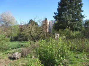 Prodej zahrady, Brno, Řezáčova, 1392 m2