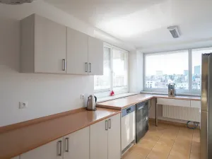 Pronájem bytu 2+kk, Brno, Palackého třída, 56 m2