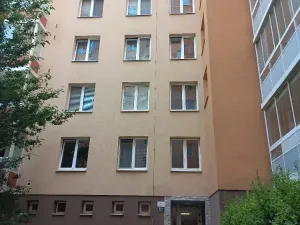 Pronájem bytu 1+kk, Brno, Spodní, 30 m2