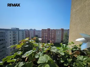 Prodej bytu 3+1, Havířov, Letní, 73 m2