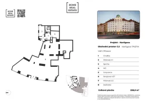 Prodej obchodního prostoru, Praha - Žižkov, Hartigova, 239 m2