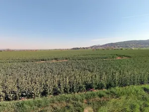 Prodej podílu pozemku pro bydlení, Martinice, 1521 m2