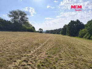 Prodej louky, Hoslovice, 33748 m2