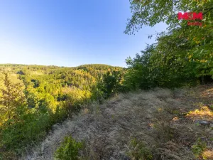 Prodej lesa, Lomnice, 7450 m2