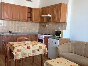 Pronájem bytu 1+1, Praha - Žižkov, Jana Želivského, 51 m2