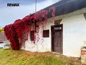 Prodej rodinného domu, Radenín, 126 m2