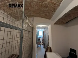 Prodej - jiné, Praha - Žižkov, Seifertova, 30 m2